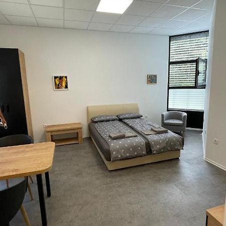 Simba Apartment Smarjeske Toplice Bagian luar foto