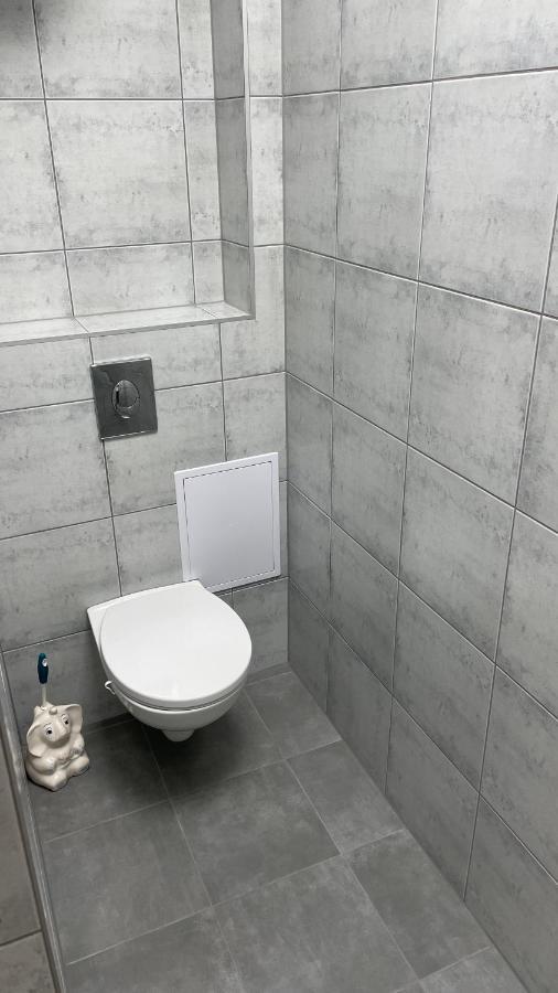 Simba Apartment Smarjeske Toplice Bagian luar foto