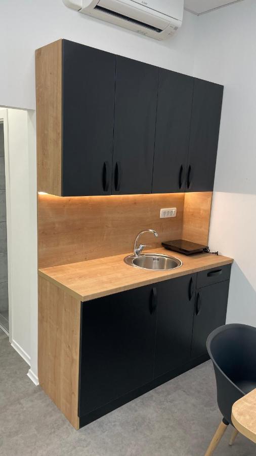 Simba Apartment Smarjeske Toplice Bagian luar foto