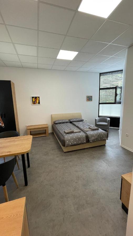 Simba Apartment Smarjeske Toplice Bagian luar foto